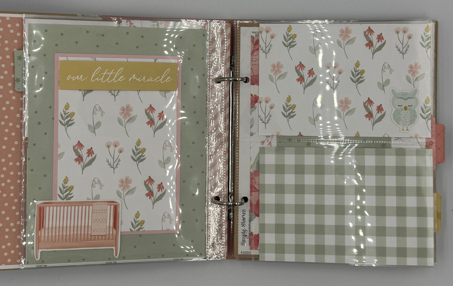 Welcome Baby Girl-6X8 Scrapbook Photo Album (Pre-made)