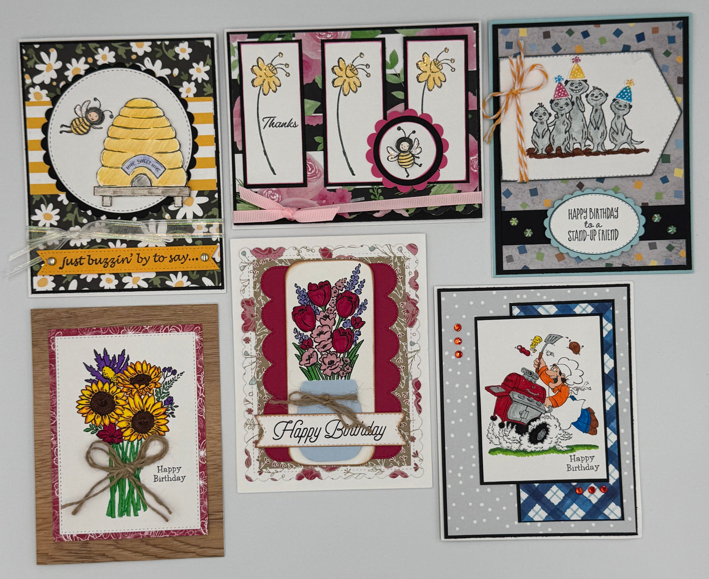 6 Greeting Card Stamped Images Kit (DIY)