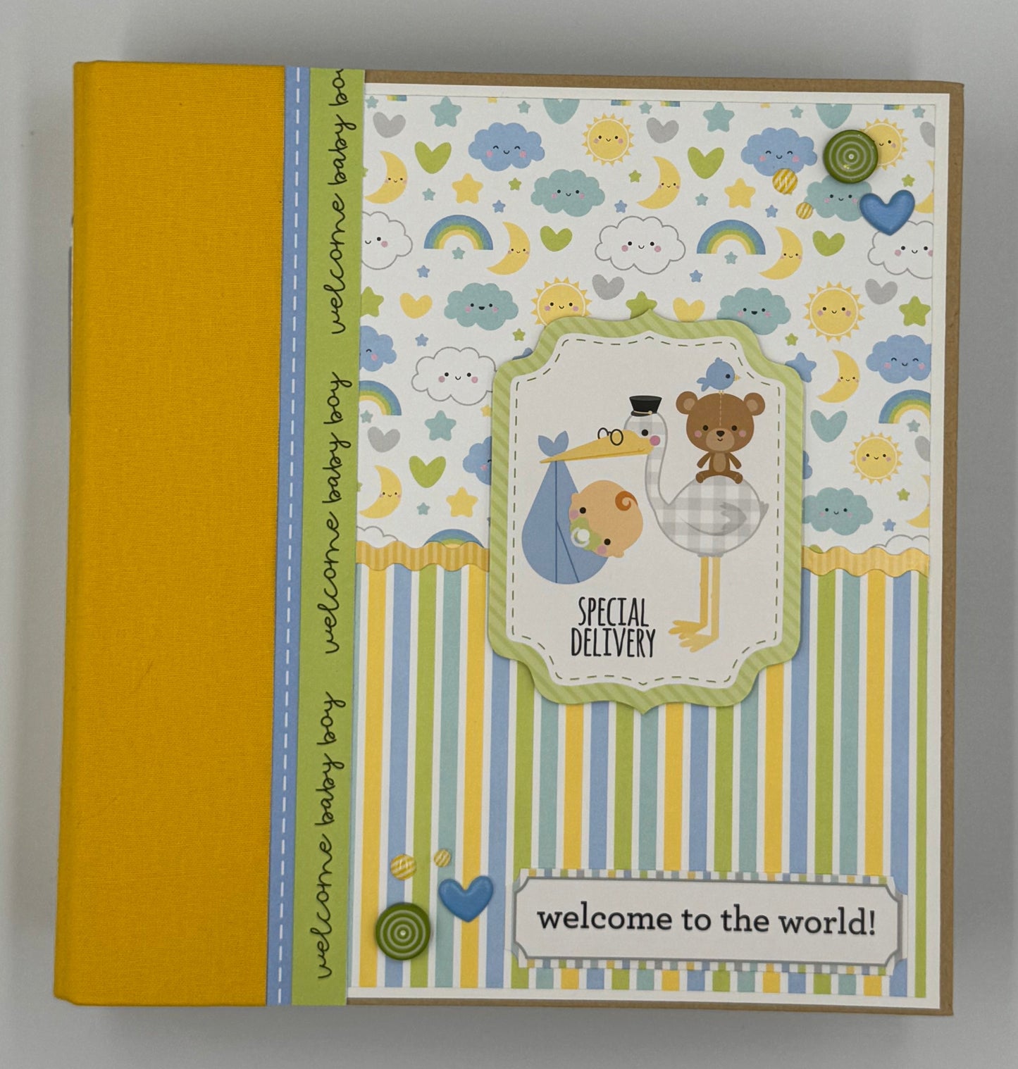 Baby Boy Special Delivery-6X8 Scrapbook Photo Album (Pre-made)