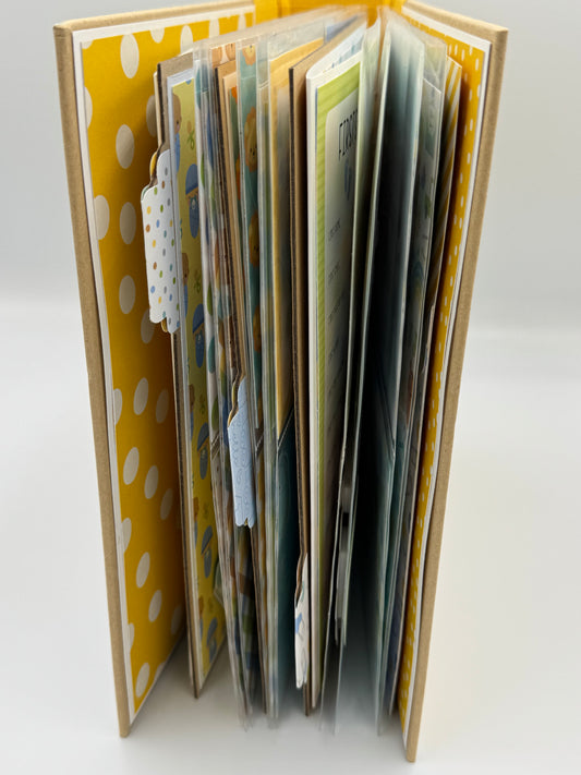 Baby Boy Special Delivery-6X8 Scrapbook Photo Album (Pre-made)