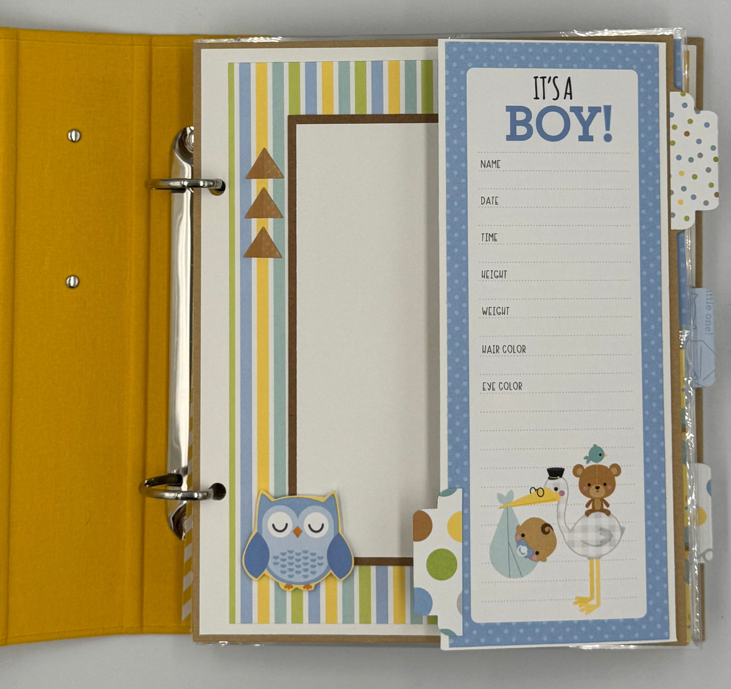 Baby Boy Special Delivery-6X8 Scrapbook Photo Album (Pre-made)