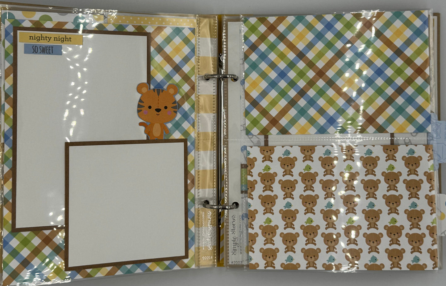 Baby Boy Special Delivery-6X8 Scrapbook Photo Album (Pre-made)