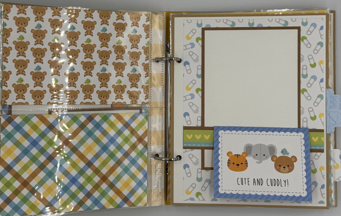 Baby Boy Special Delivery-6X8 Scrapbook Photo Album (Pre-made)