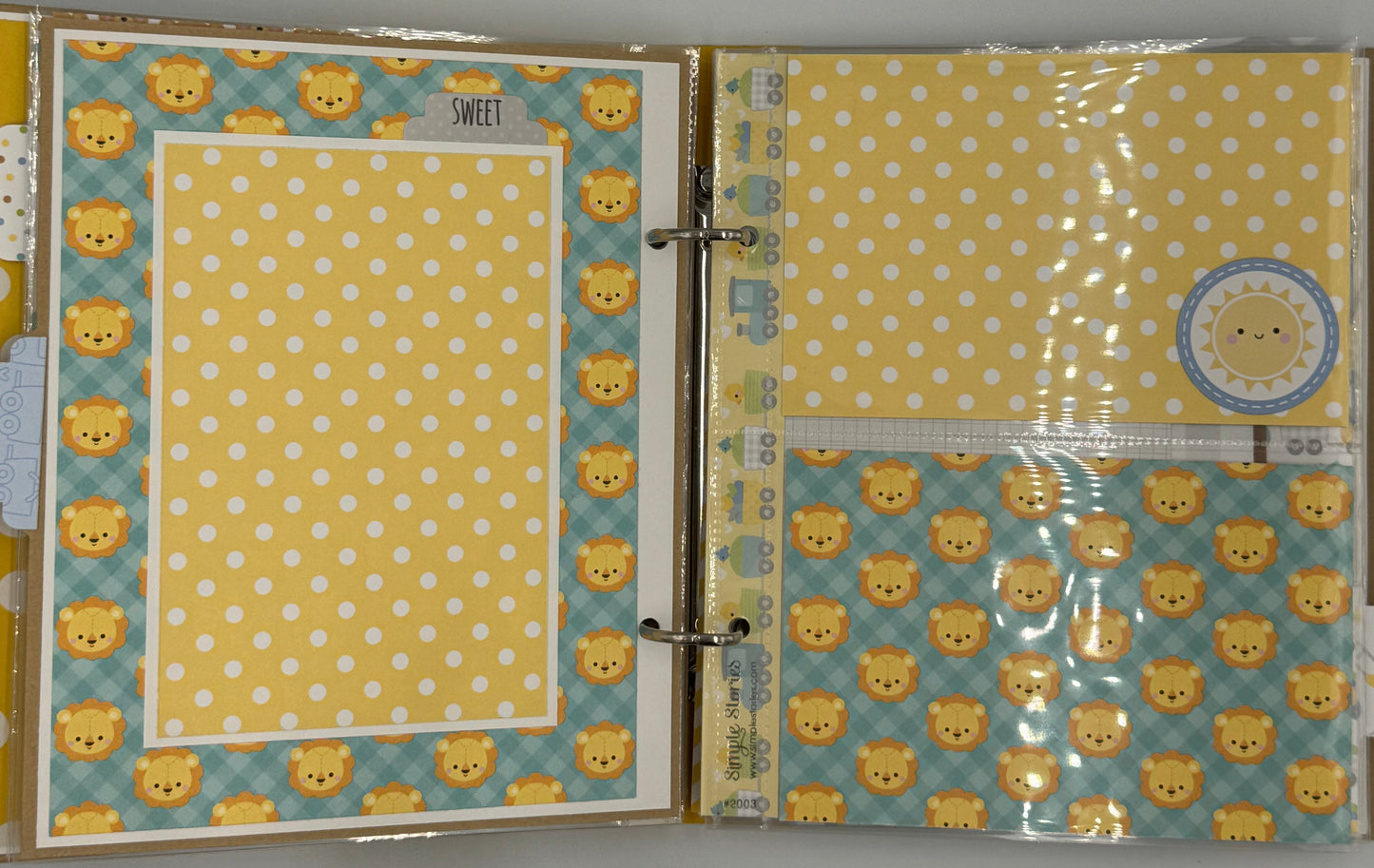 Baby Boy Special Delivery-6X8 Scrapbook Photo Album (Pre-made)
