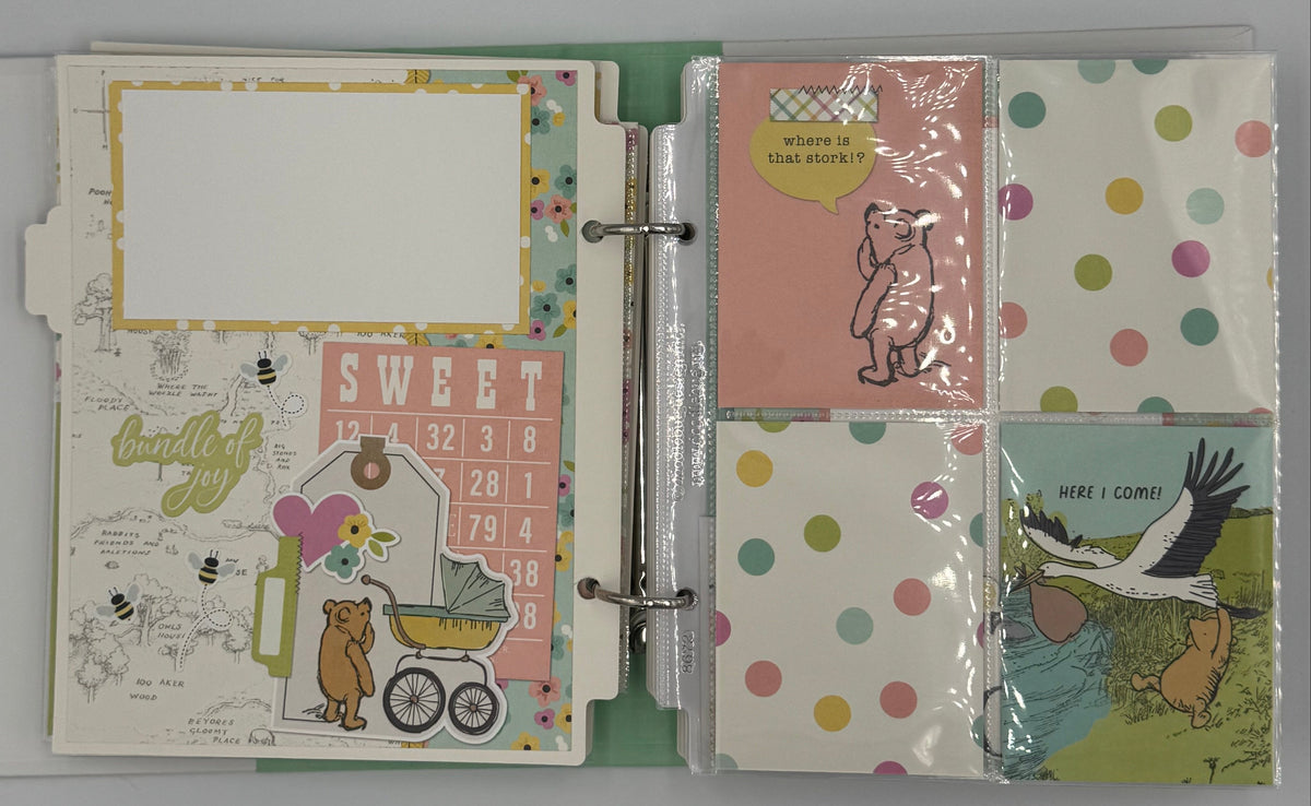 Welcome to the World-6X8 Scrapbook Baby Girl/Boy Photo Album (Pre-Made)